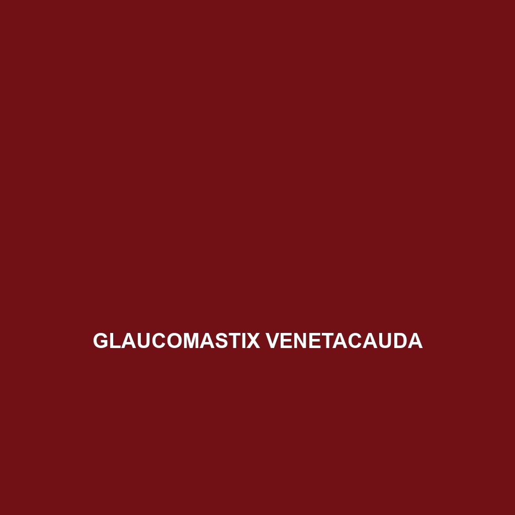 Glaucomastix venetacauda