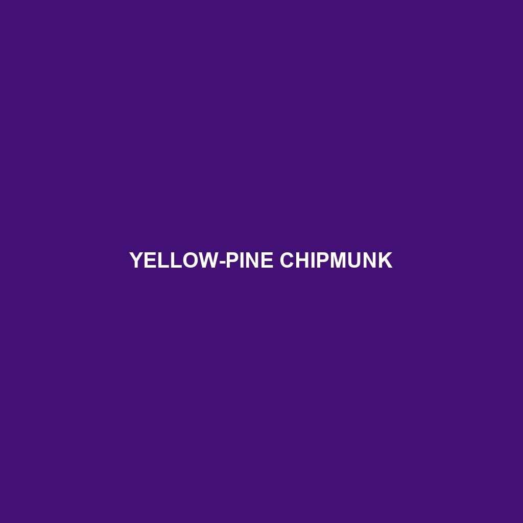 Yellow-pine Chipmunk