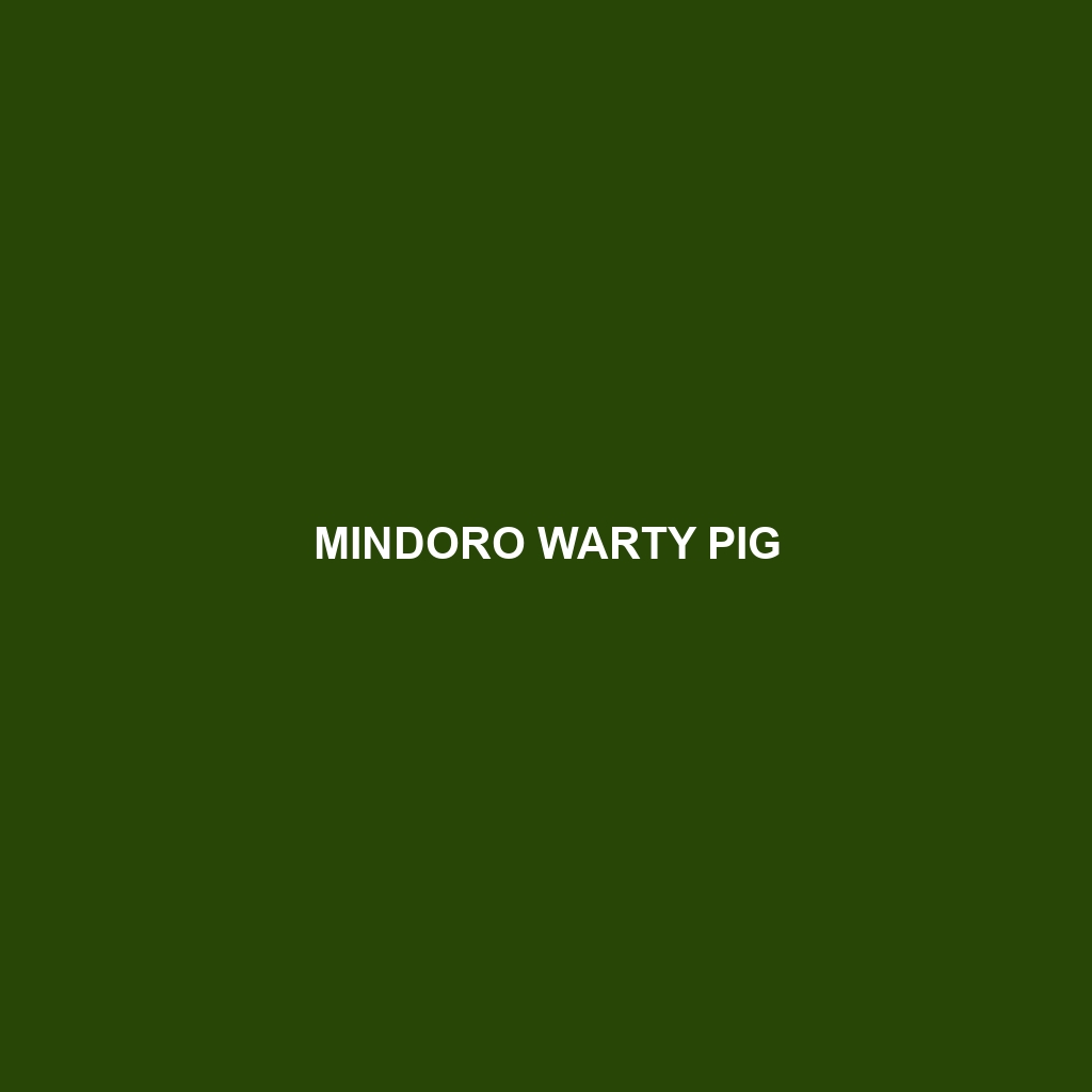 Mindoro Warty Pig