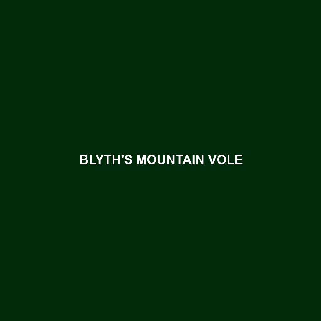 Blyth's Mountain Vole