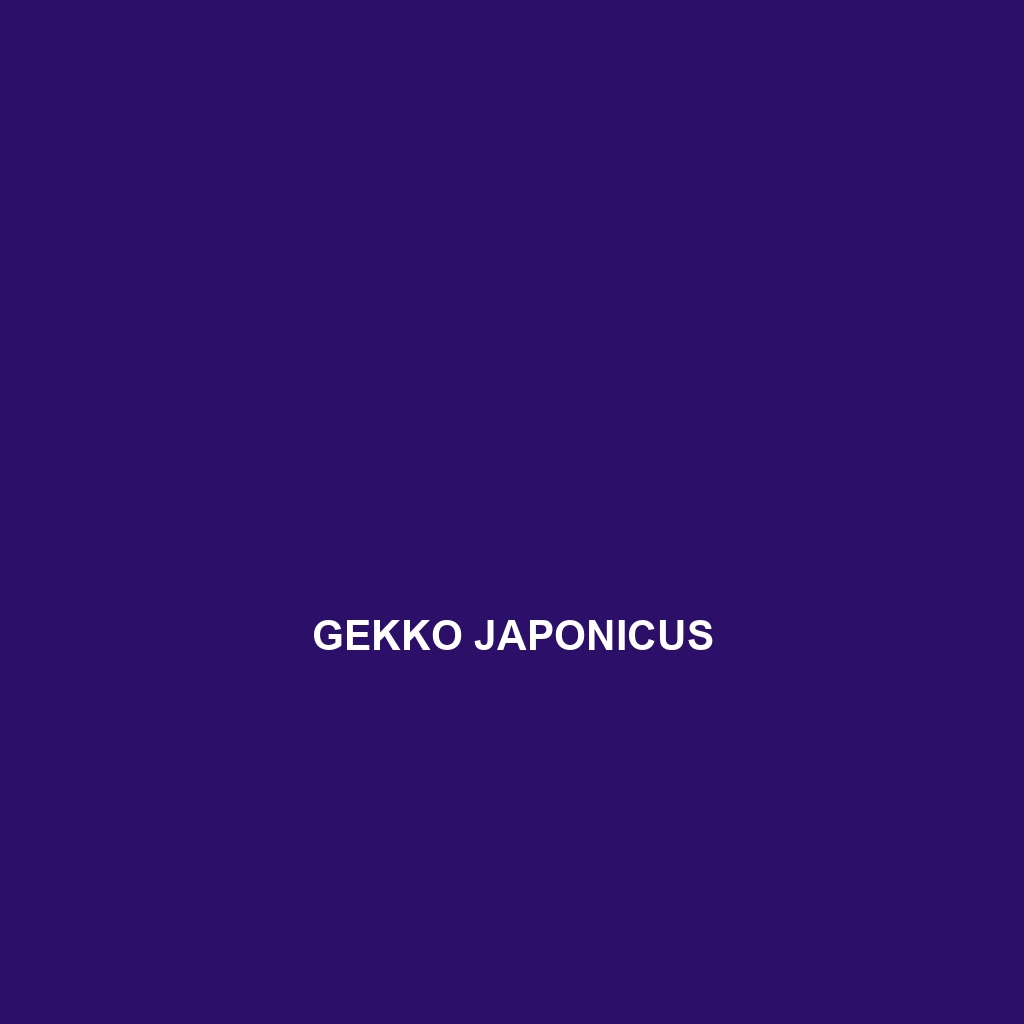 Gekko japonicus