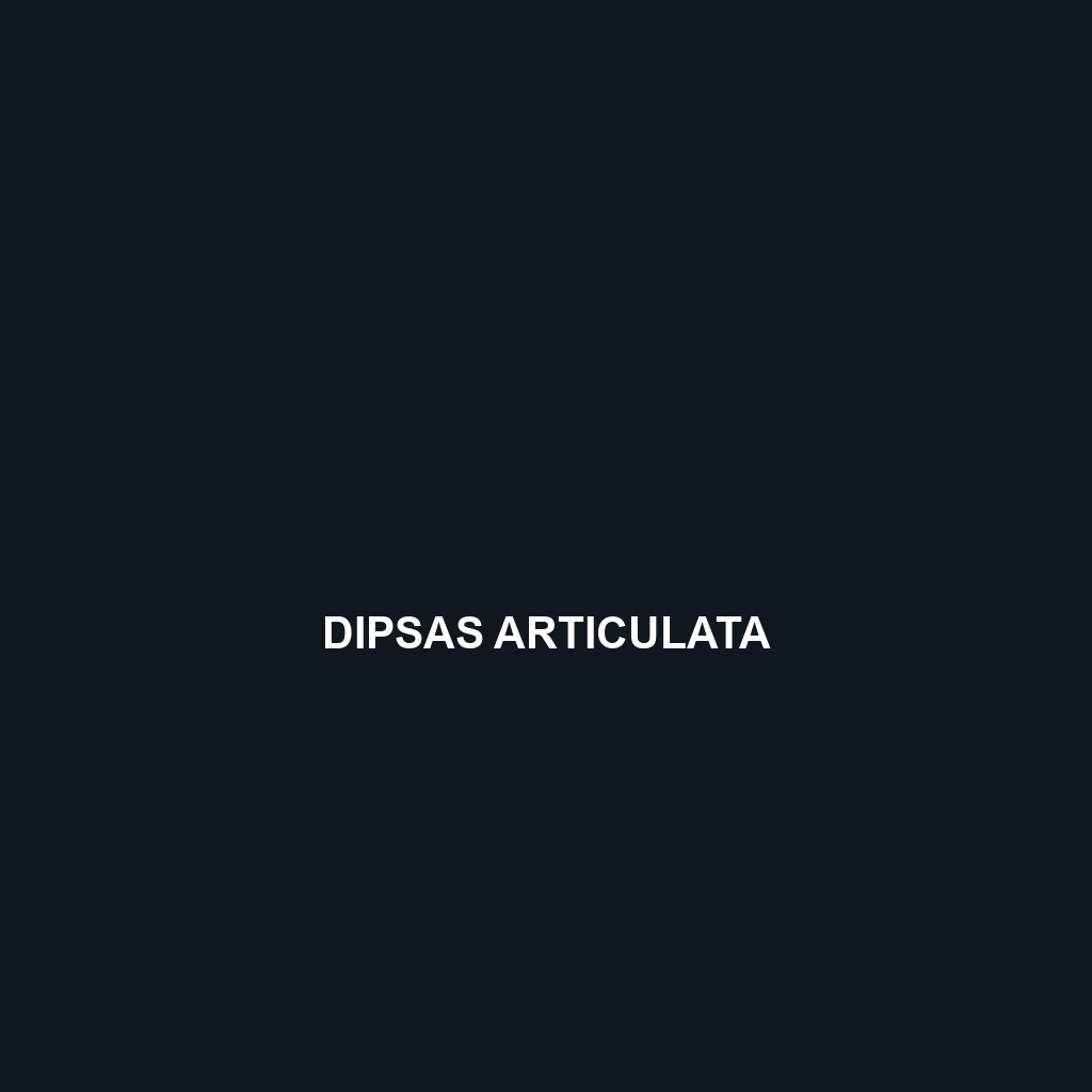 Dipsas aparatiritos