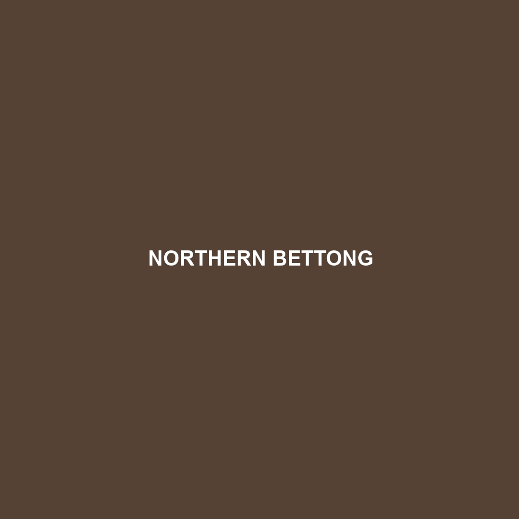 Northern Bettong