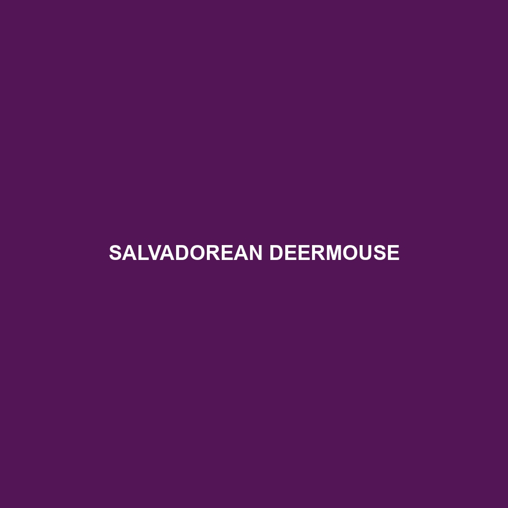 Salvadorean Deermouse