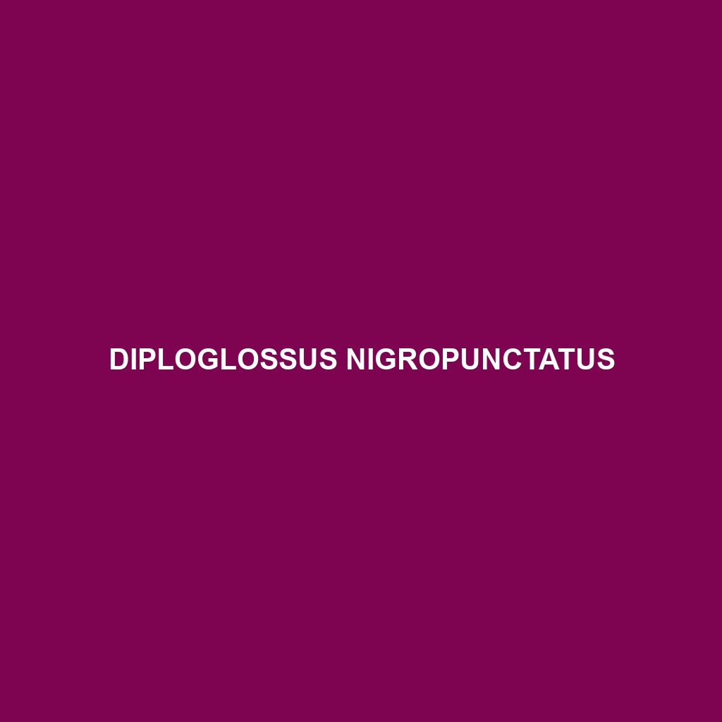 Diploglossus nigropunctatus