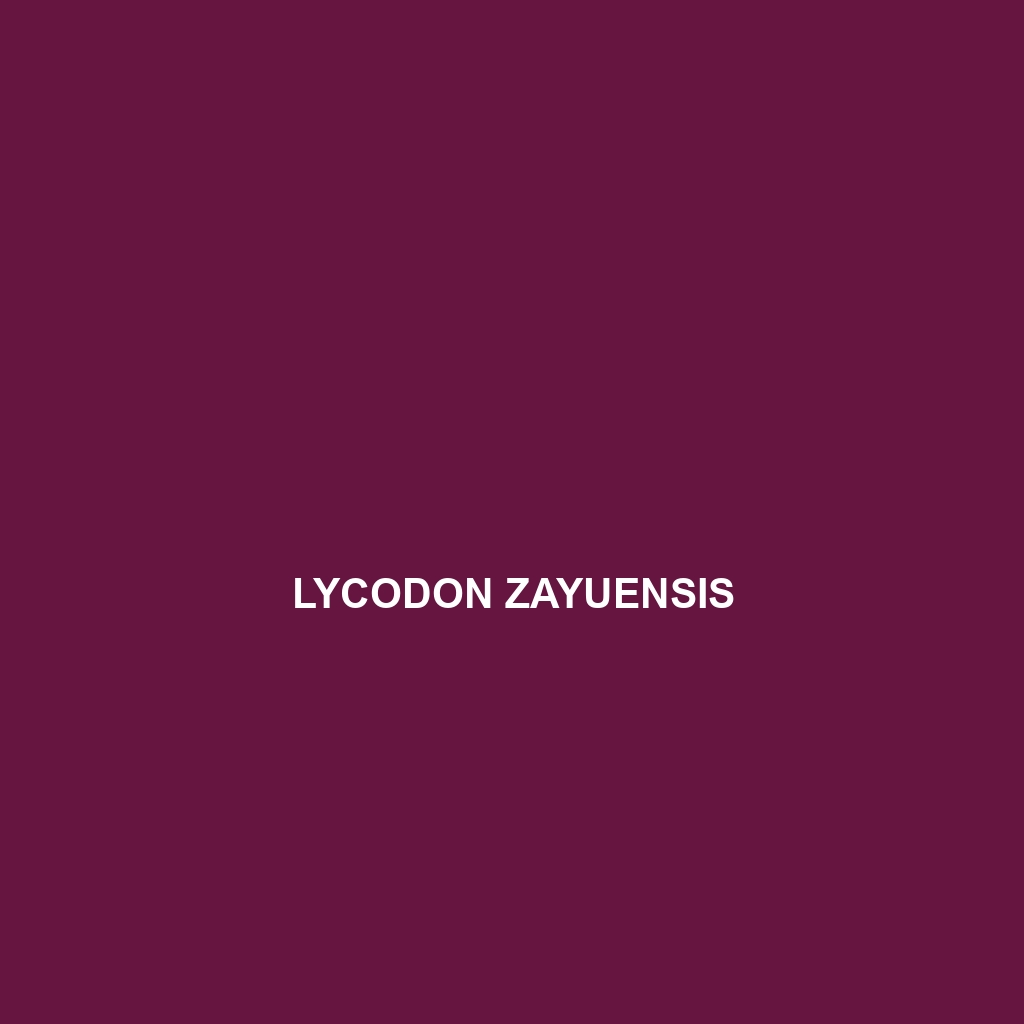 Lycodon zawi