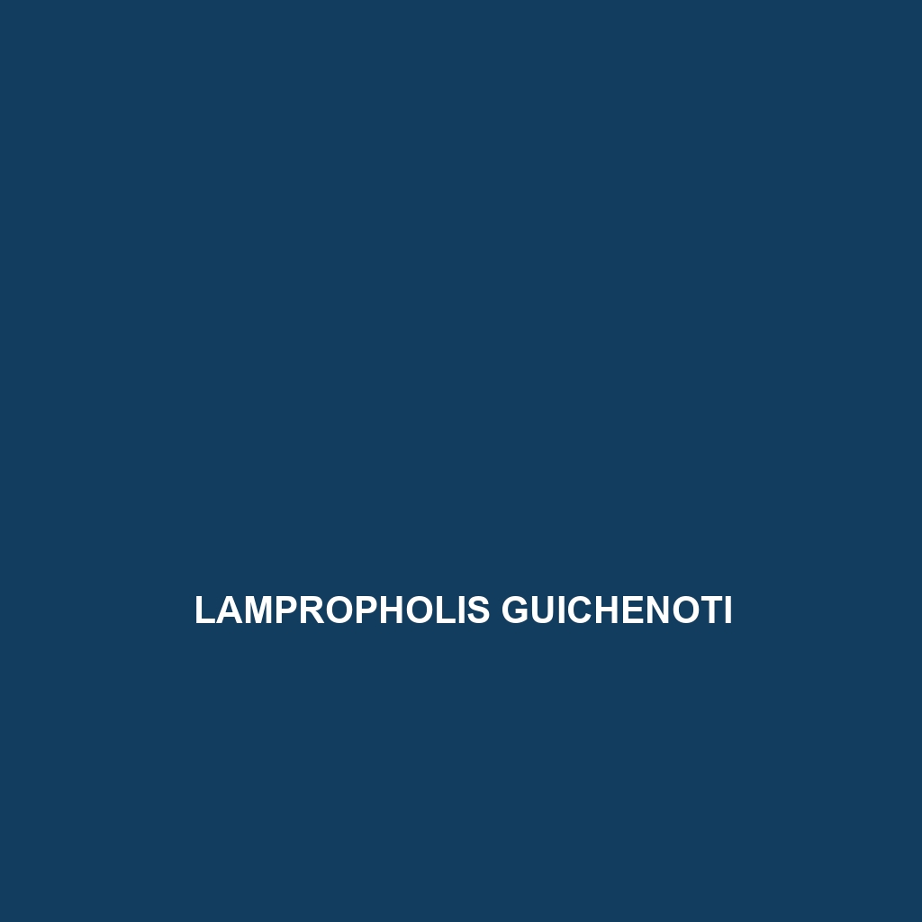 Lampropholis guichenoti