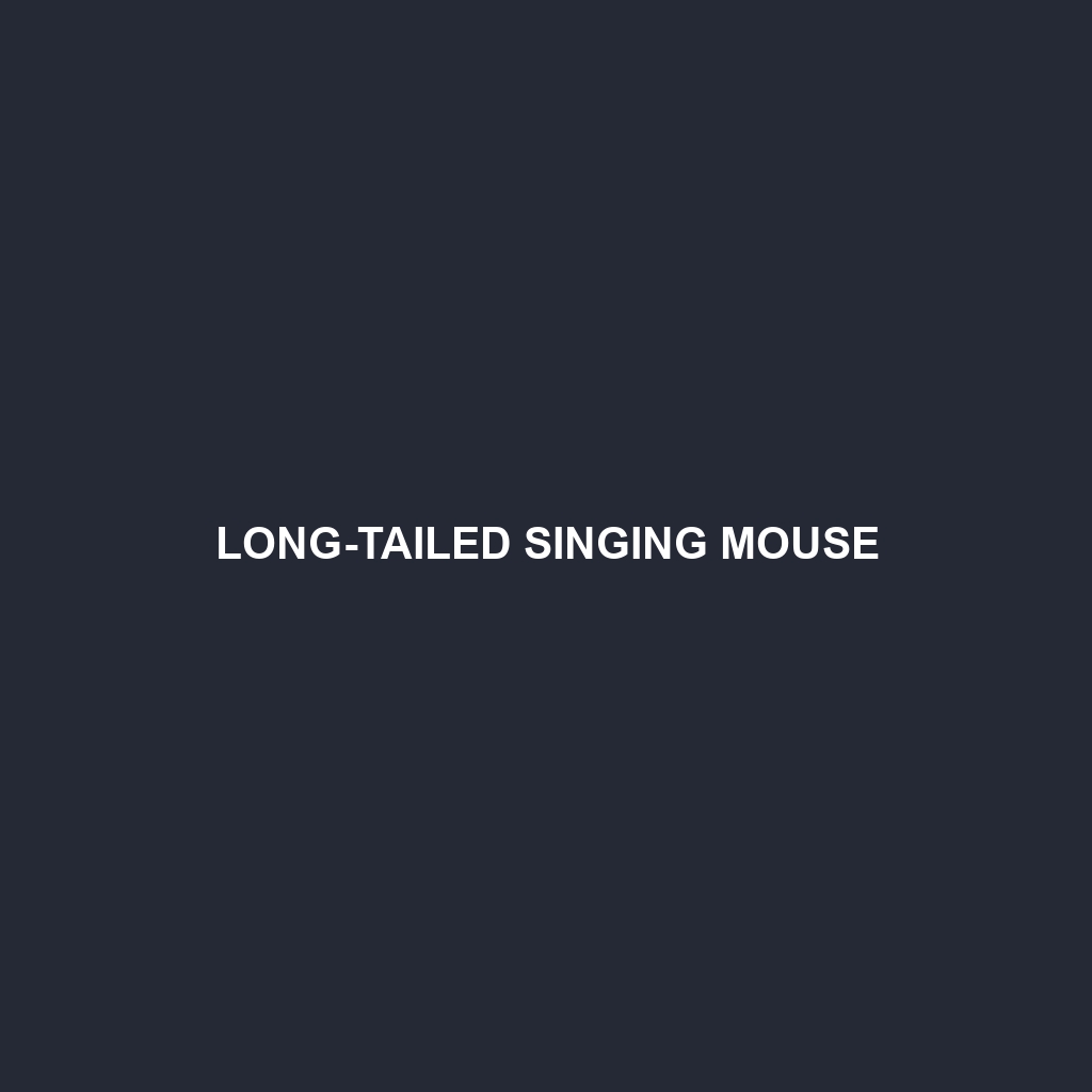 Long-tailed Singing Mouse