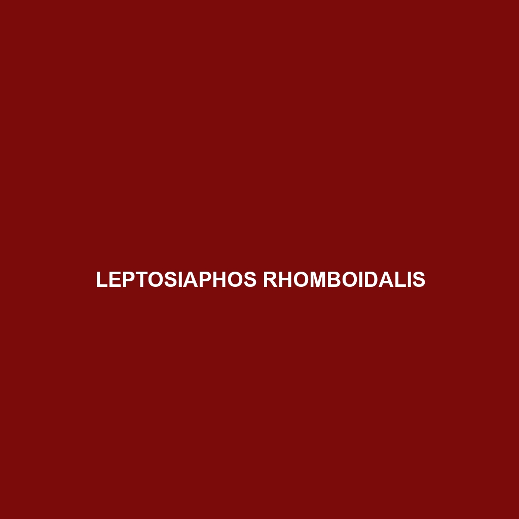 Leptosiaphos rhomboidalis