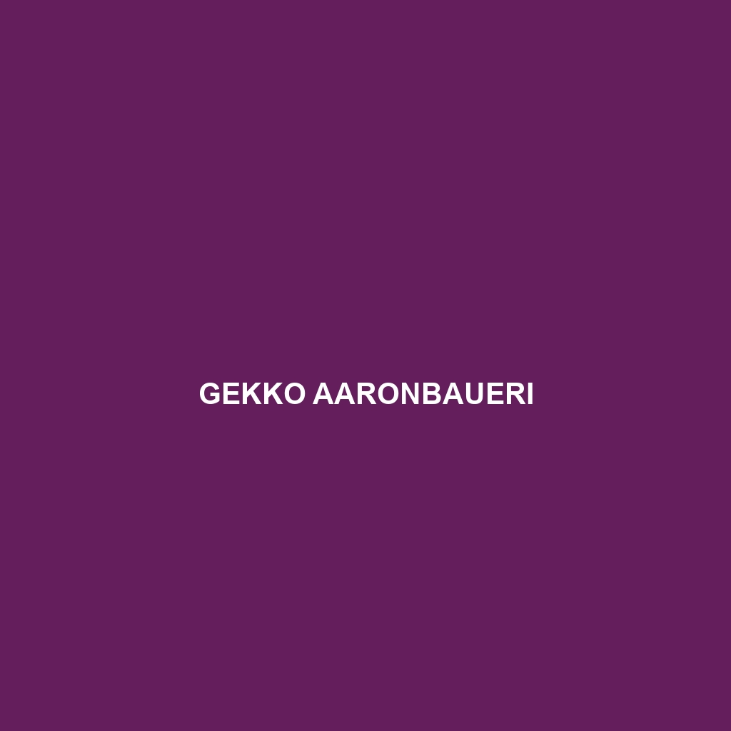 Gekko aaronbaueri