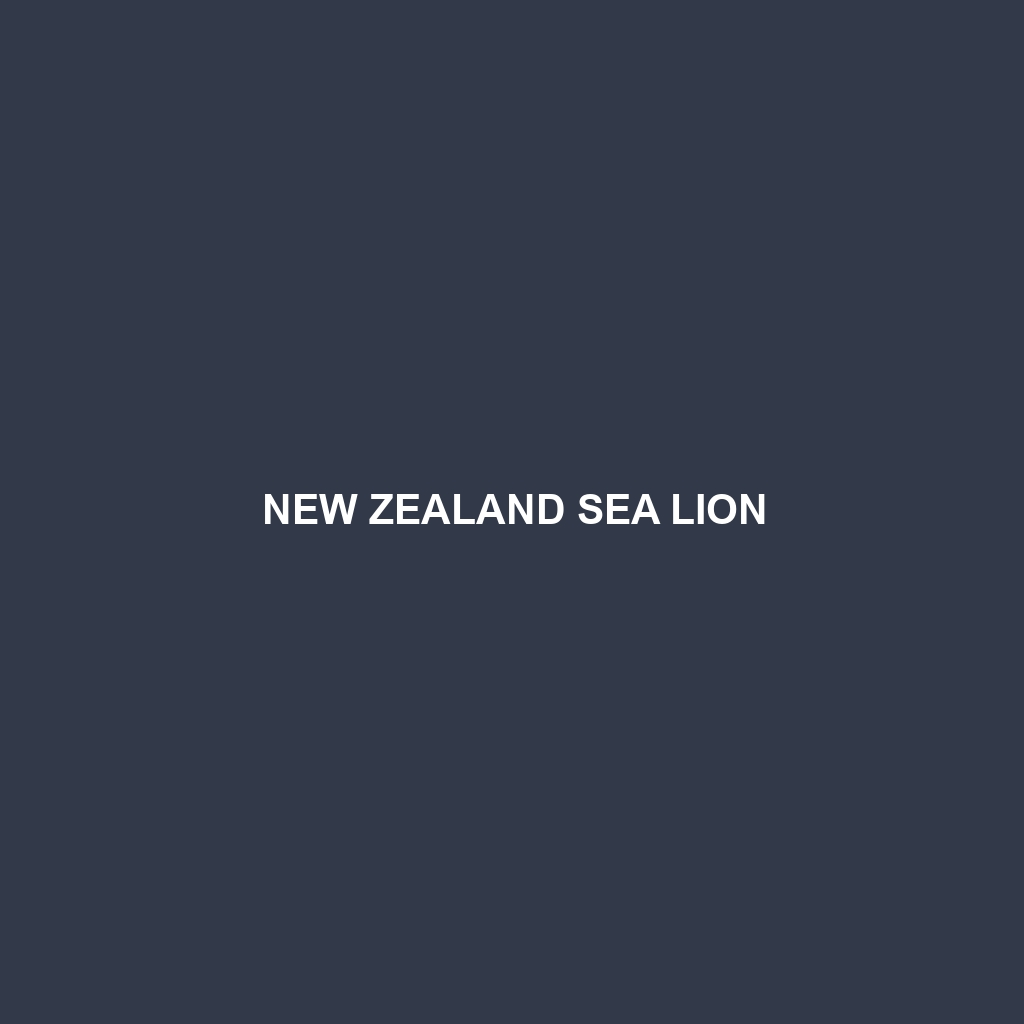 New Zealand Sea Lion