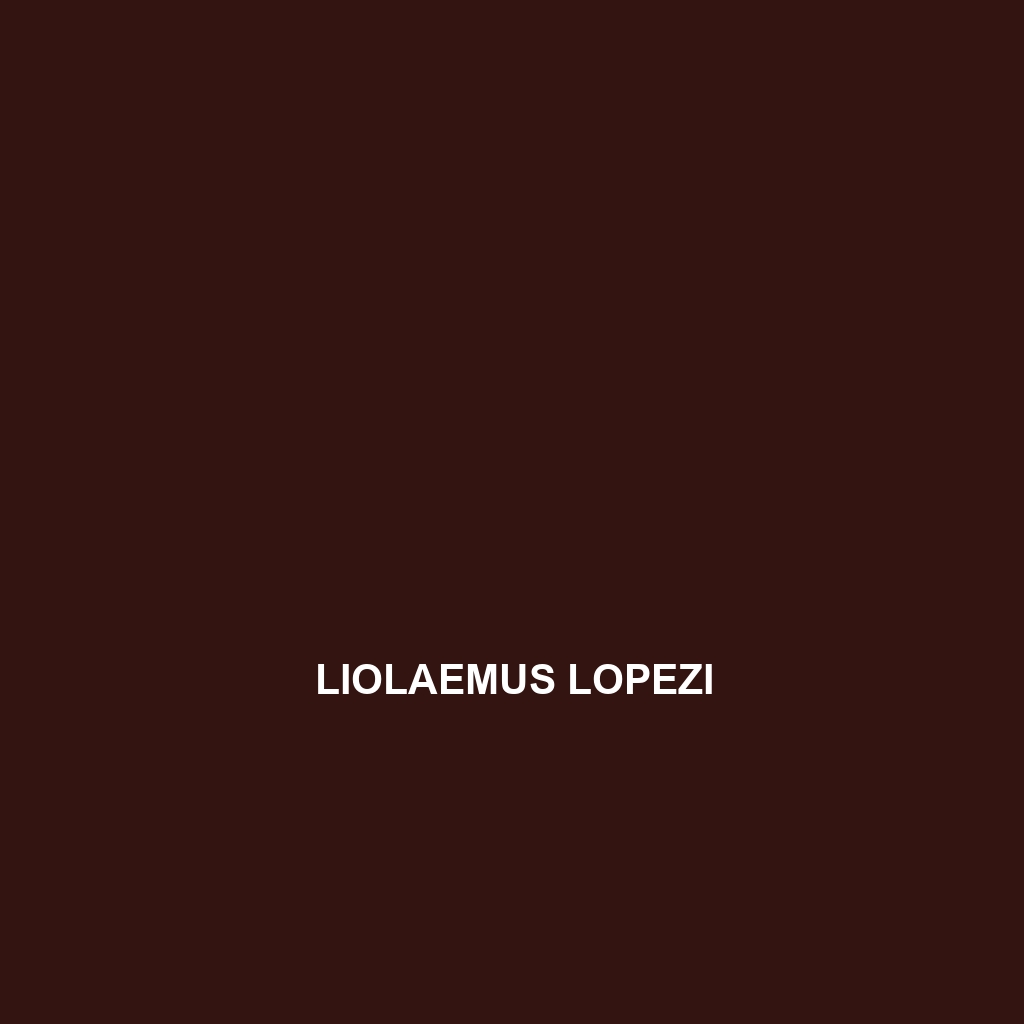 Liolaemus lopezi