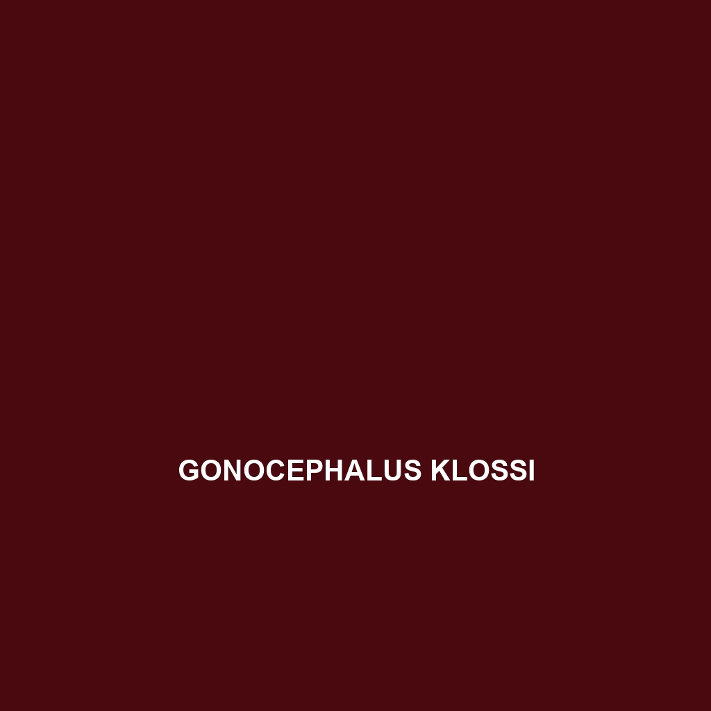 Gonocephalus klossi