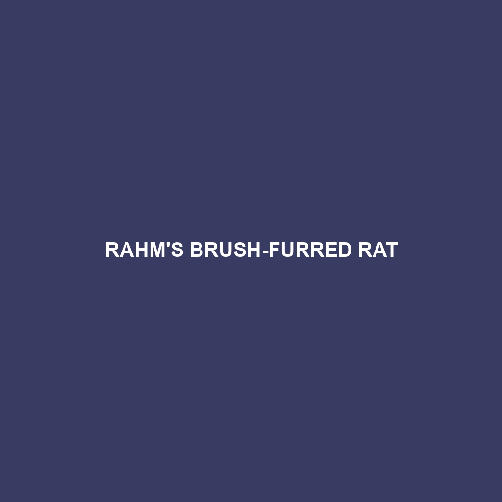 Congolese Brush-furred Rat