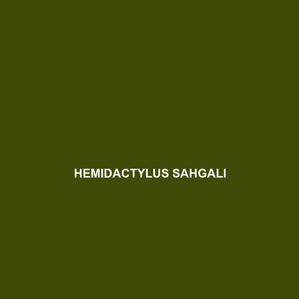 Hemidactylus sahgali