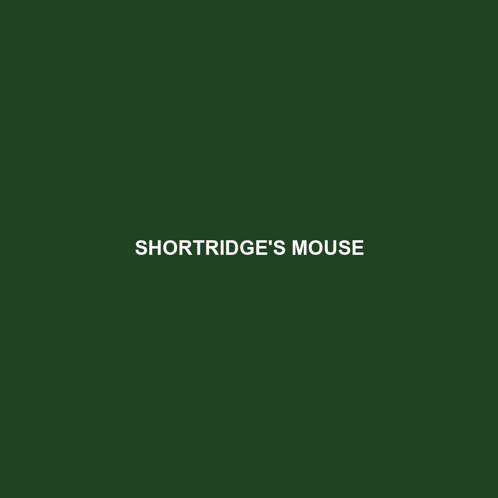 Shortridge's Mouse