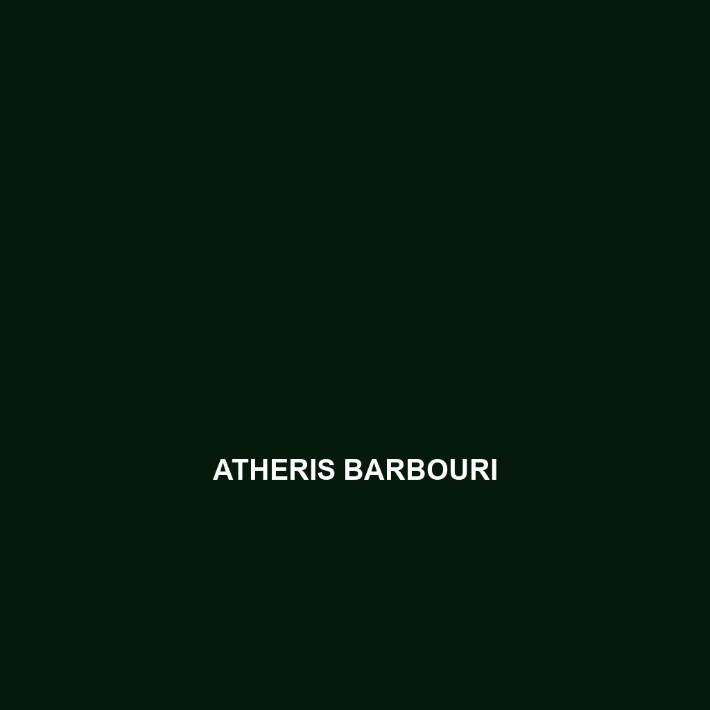 Atheris barbouri