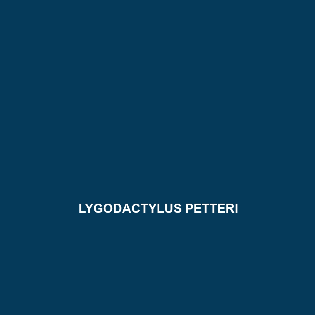 Lygodactylus petteri