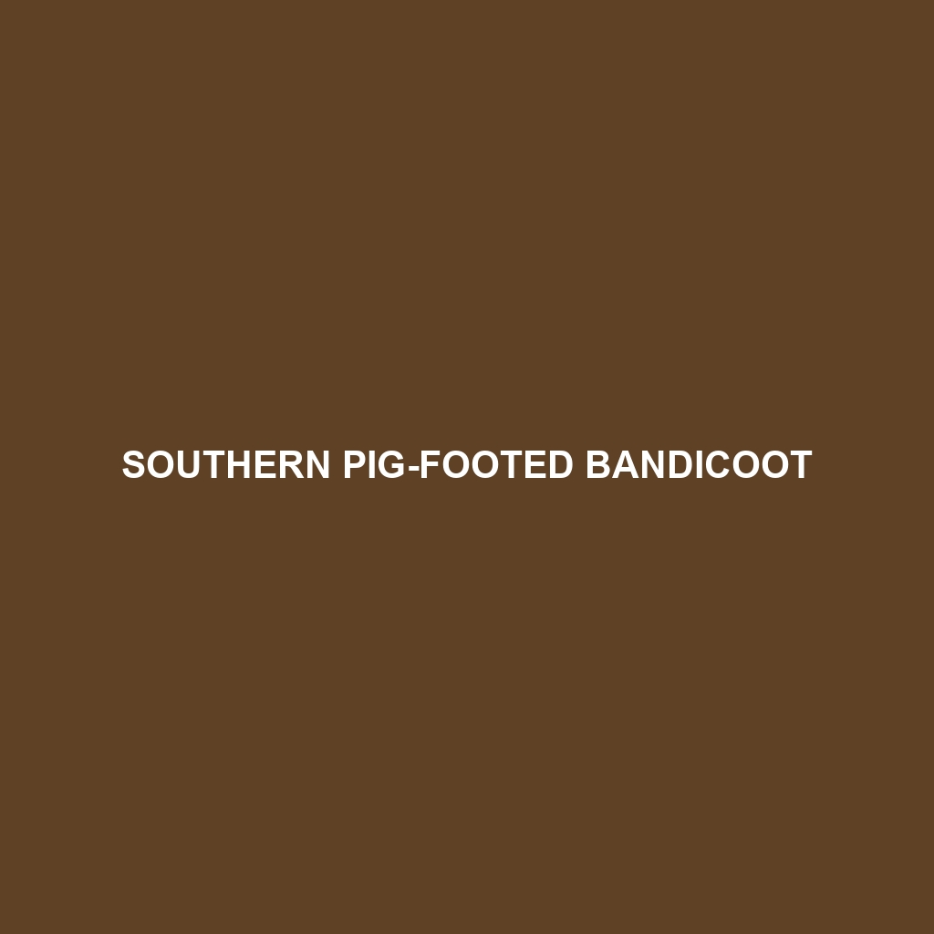 Southern Pig-footed Bandicoot