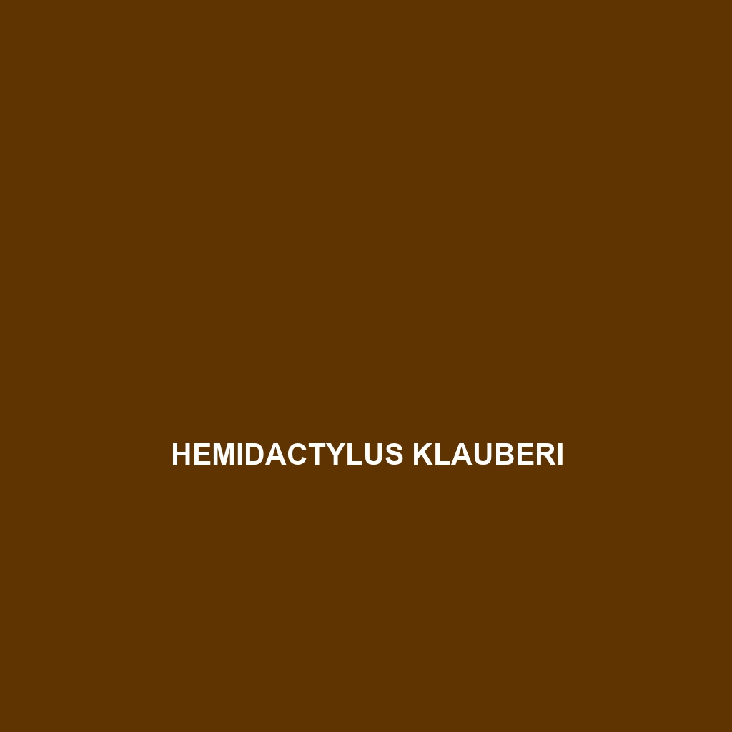 Hemidactylus klauberi