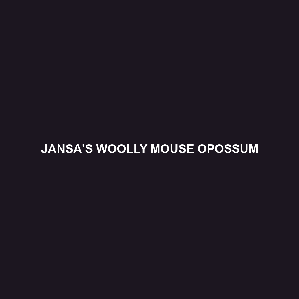 Jansa's Woolly Mouse Opossum