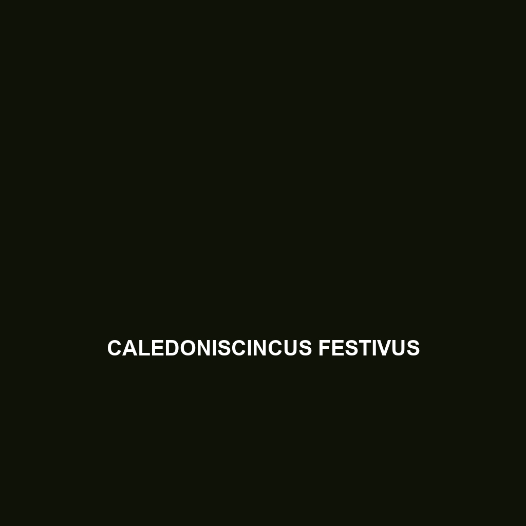 Caledoniscincus festivus