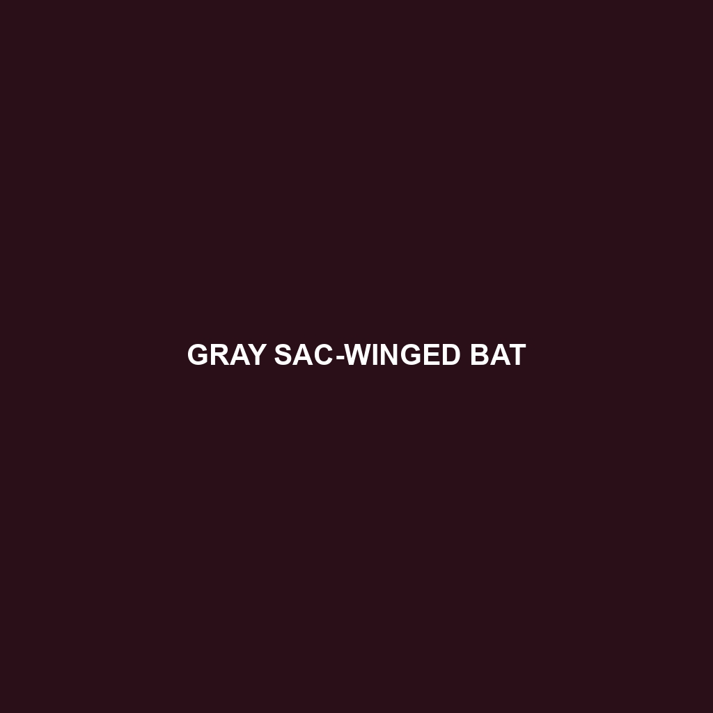 Gray Sac-winged Bat