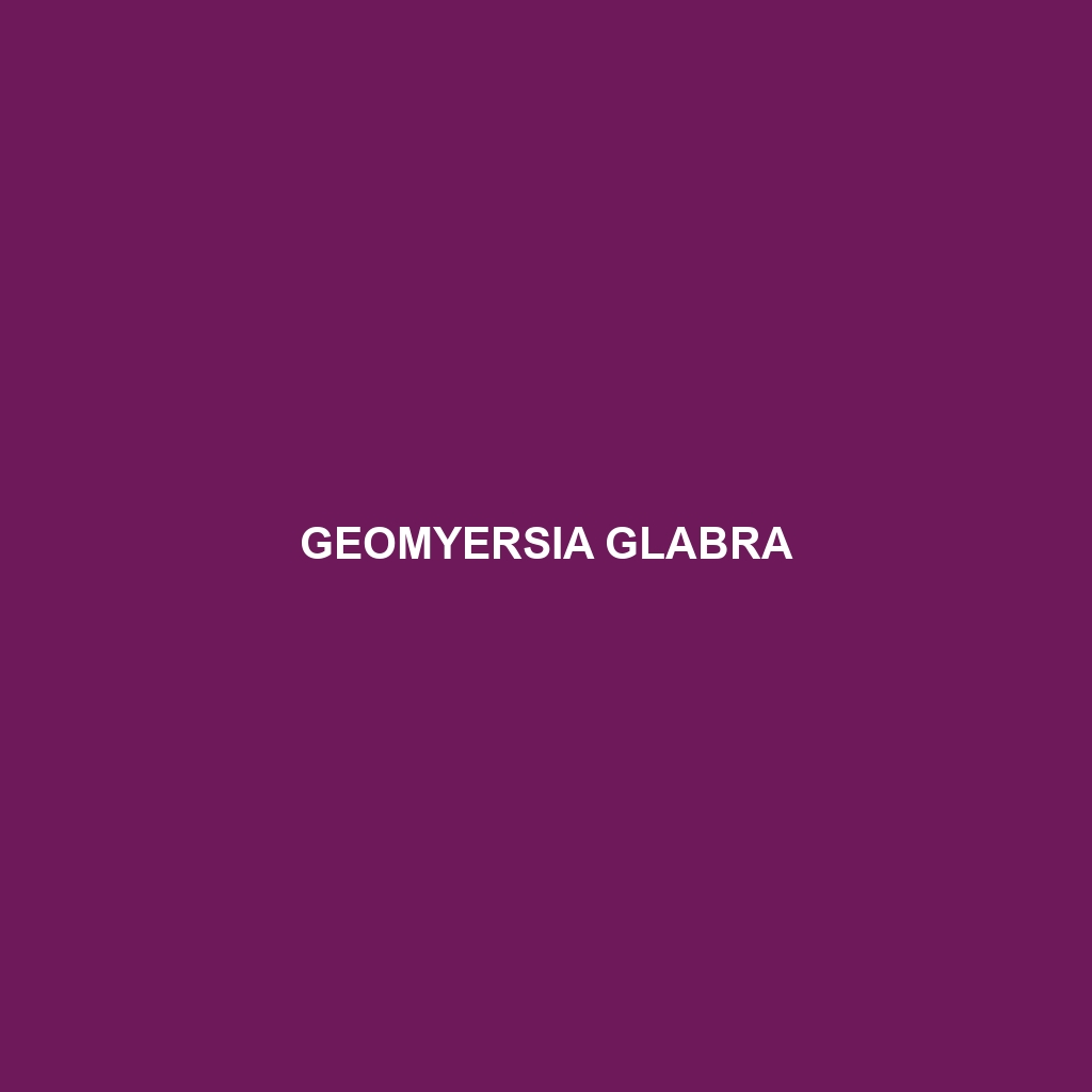 Geomyersia glabra