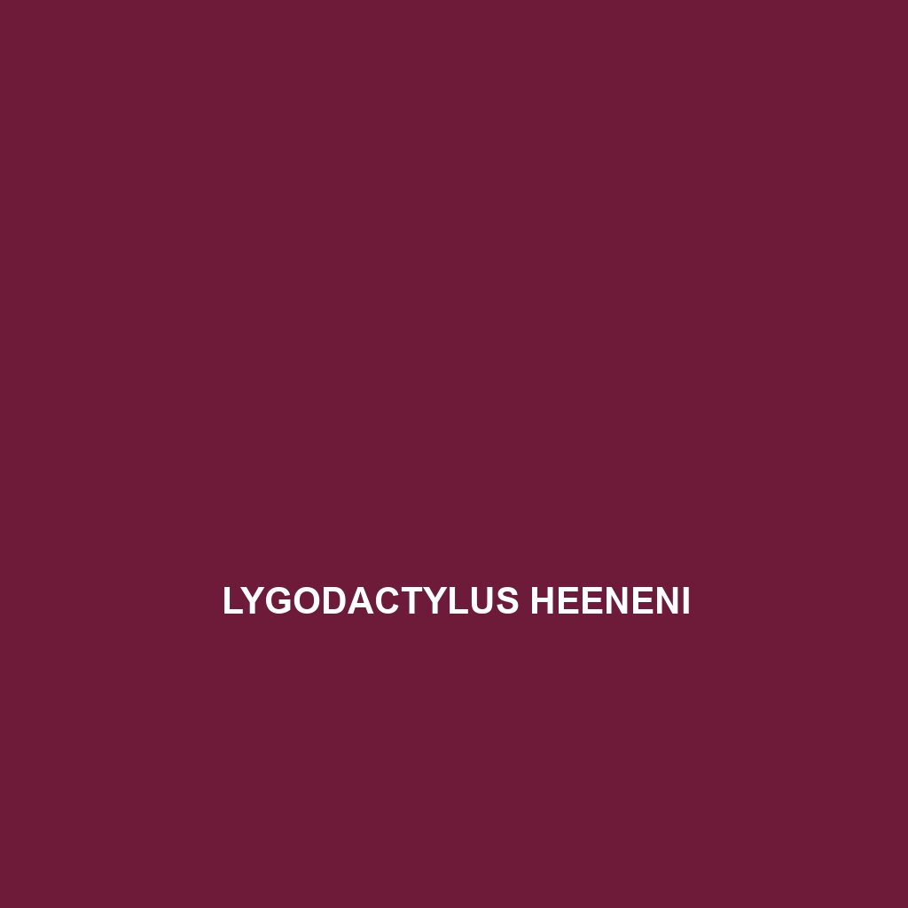 Lygodactylus heeneni