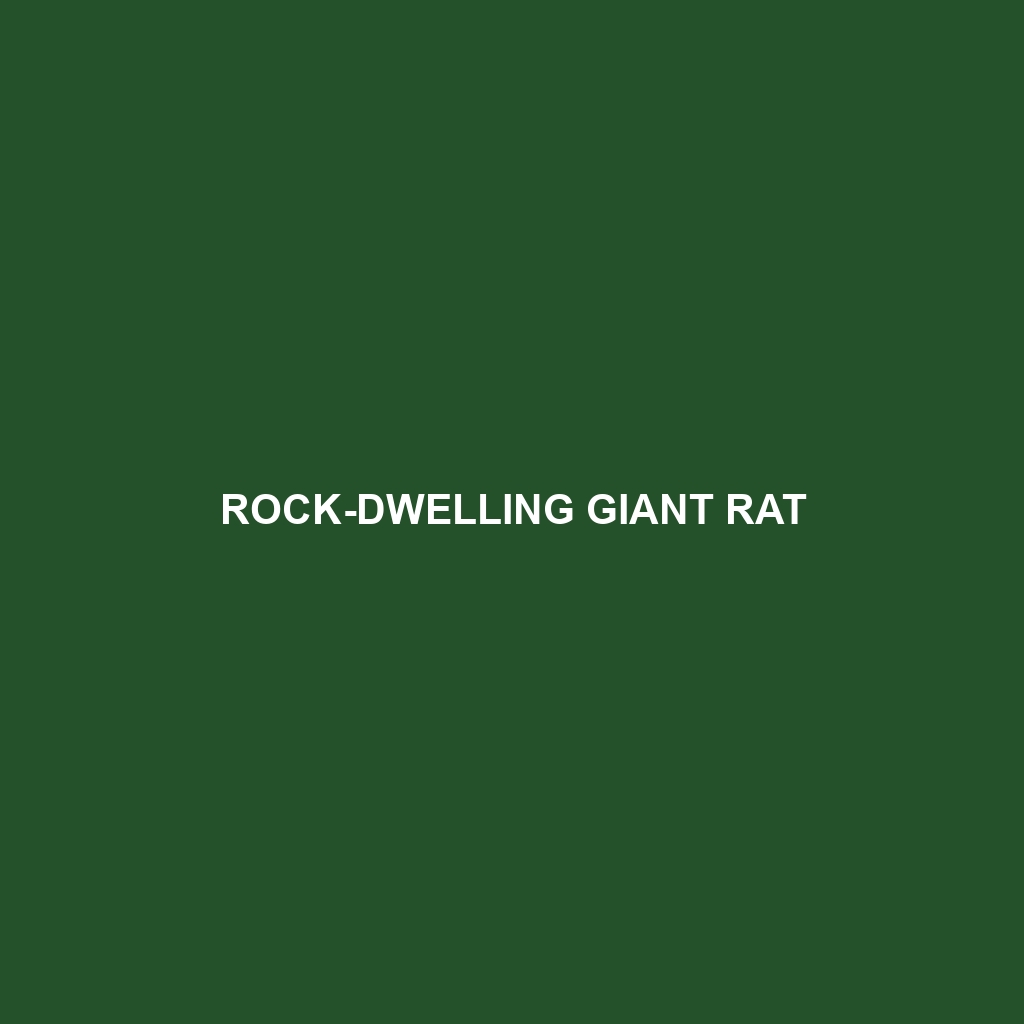 Rock-dwelling Giant Rat