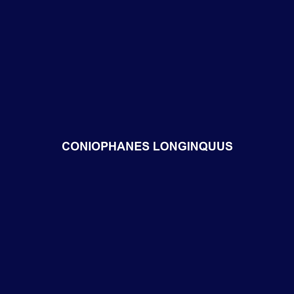 Coniophanes longinquus