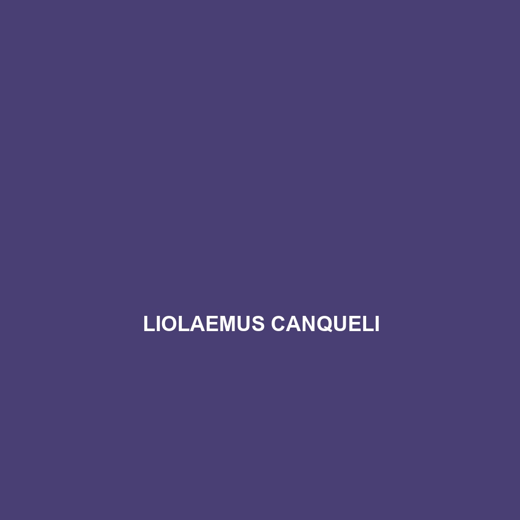 Liolaemus canqueli