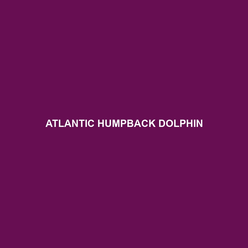 Atlantic Humpback Dolphin