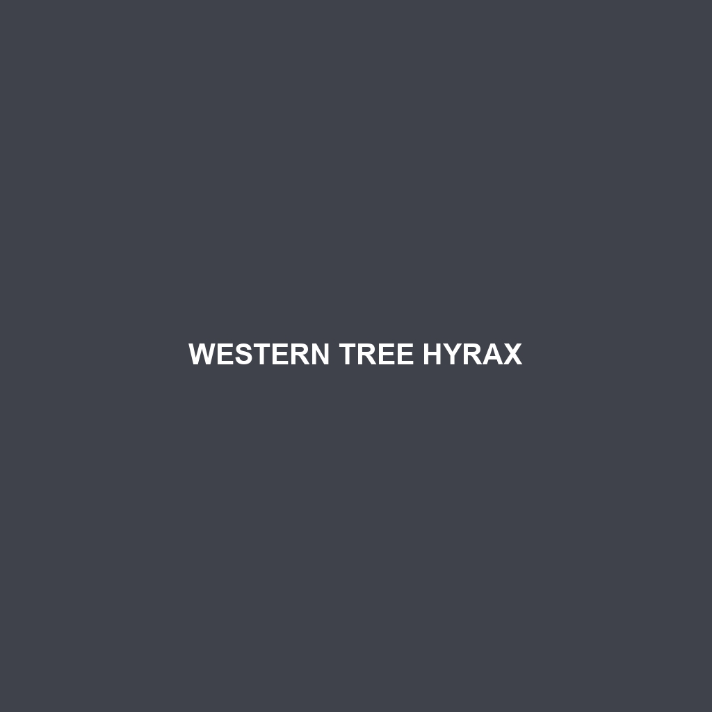 Western Tree Hyrax