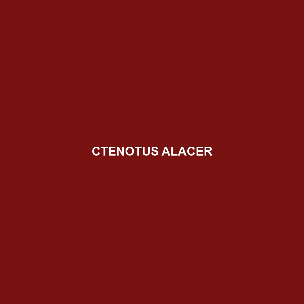 Ctenotus alacer