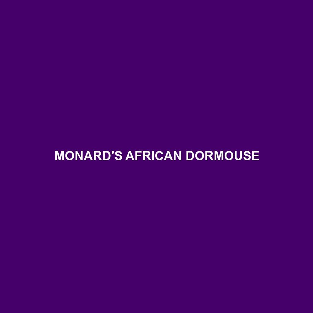 Monard's African Dormouse