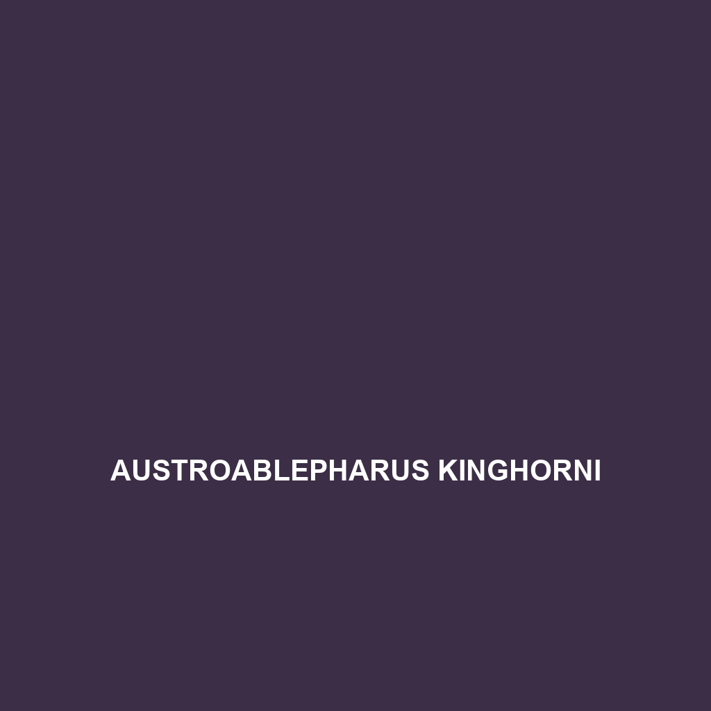 Austroablepharus kinghorni