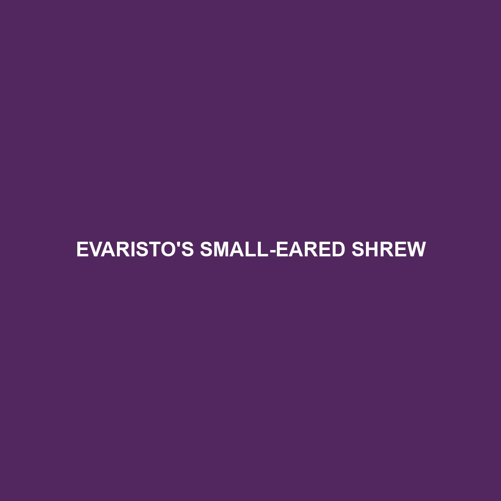 Evaristo's Small-eared Shrew