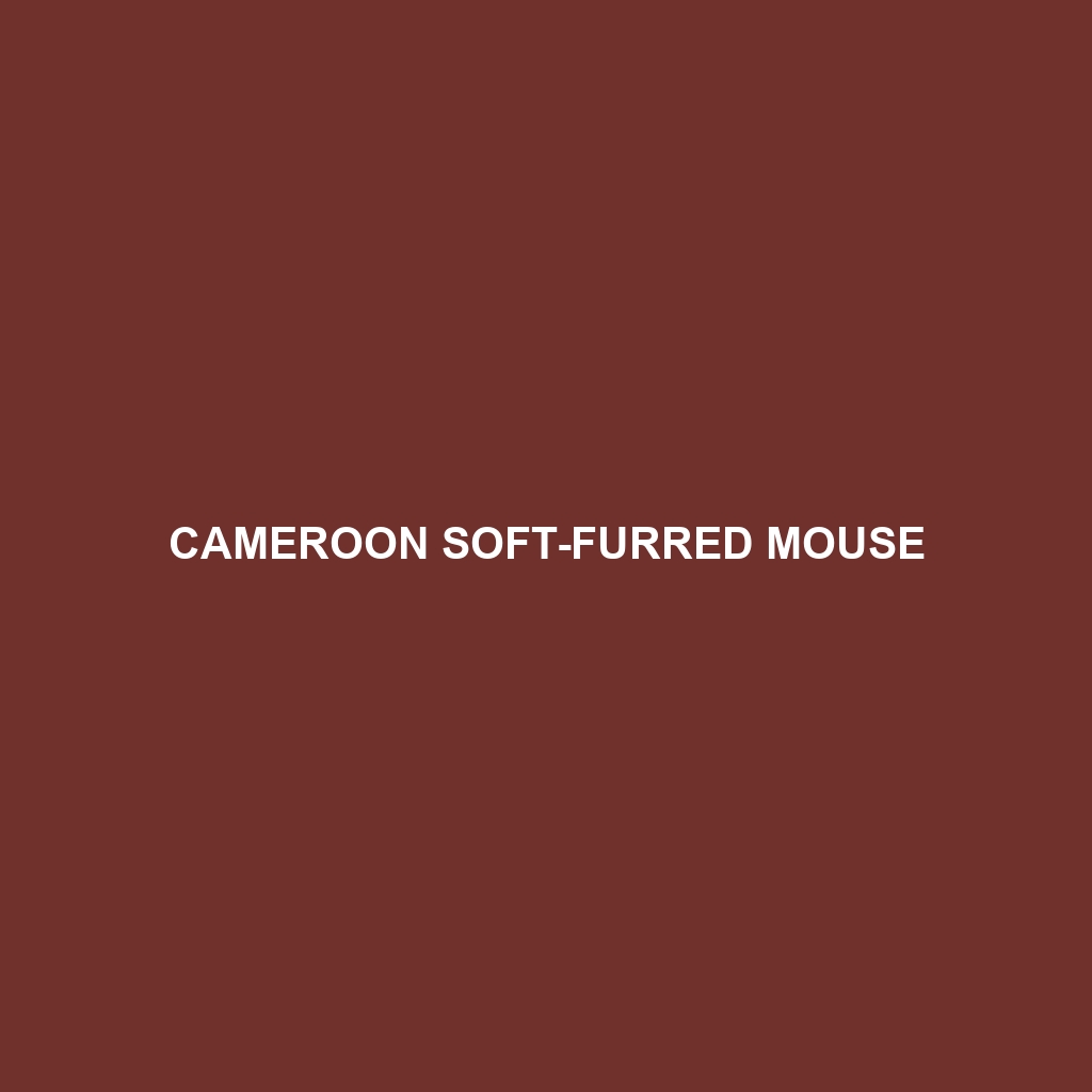 Cameroon Soft-furred Mouse