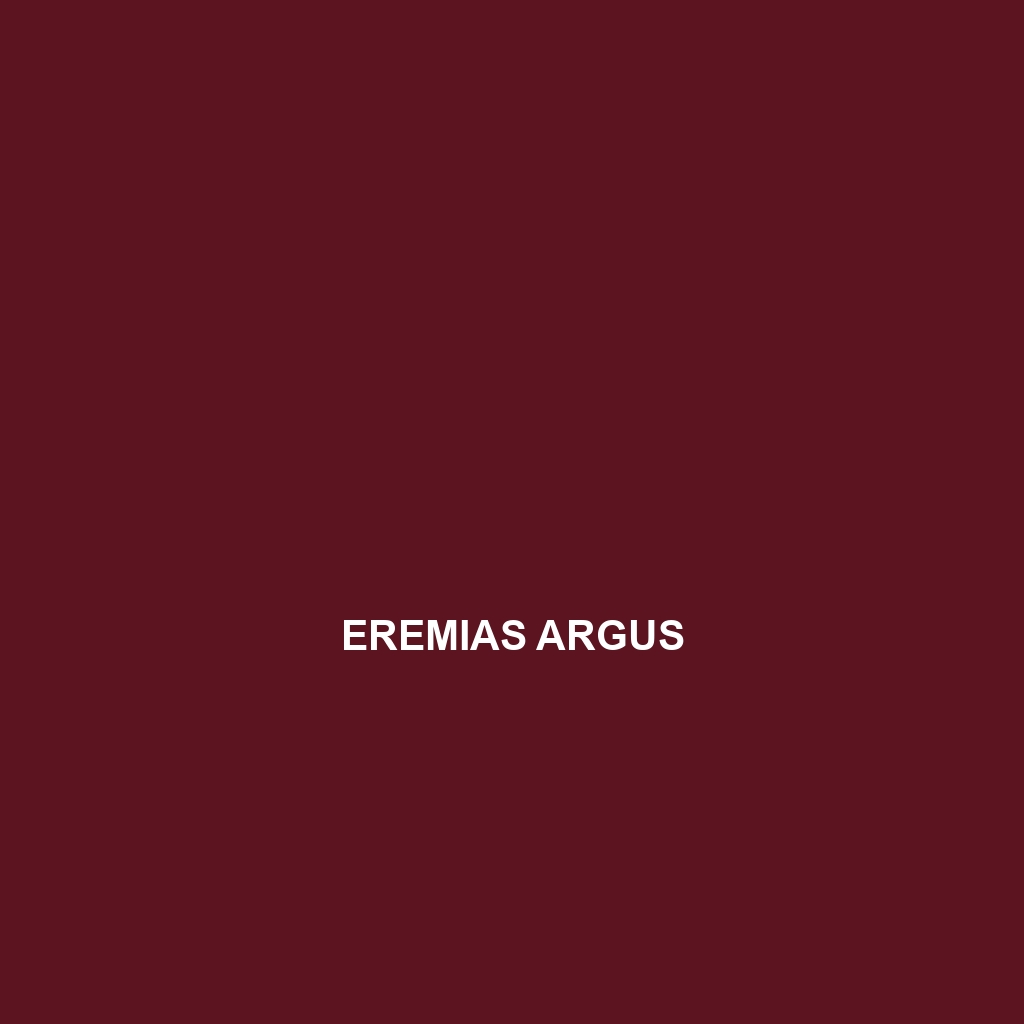 Eremias argus