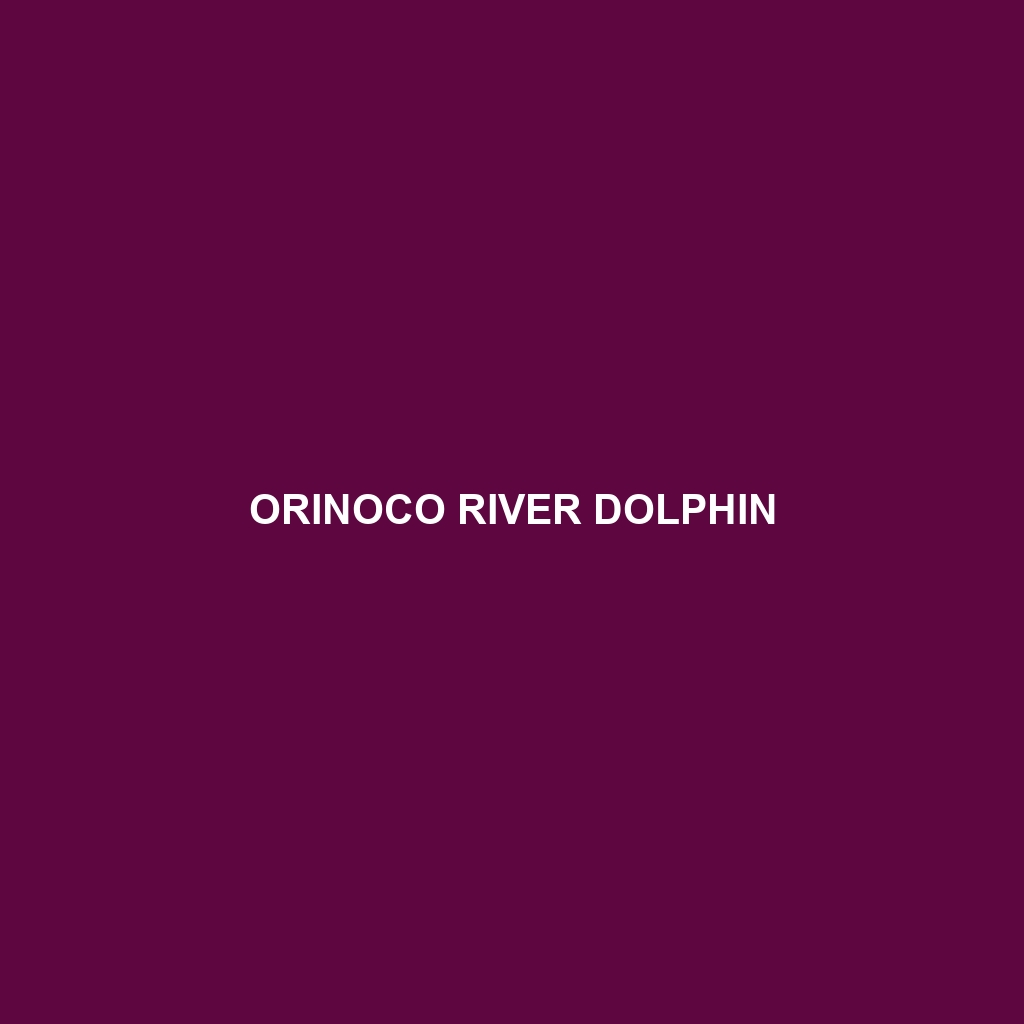 Orinoco River Dolphin