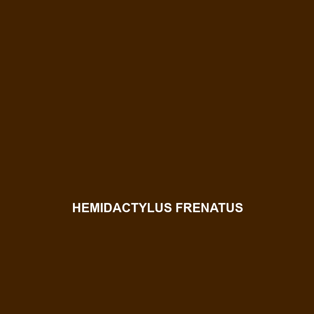 Hemidactylus frenatus