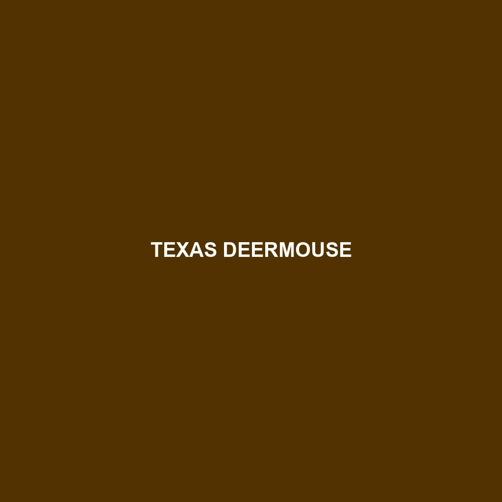 Texas Deermouse