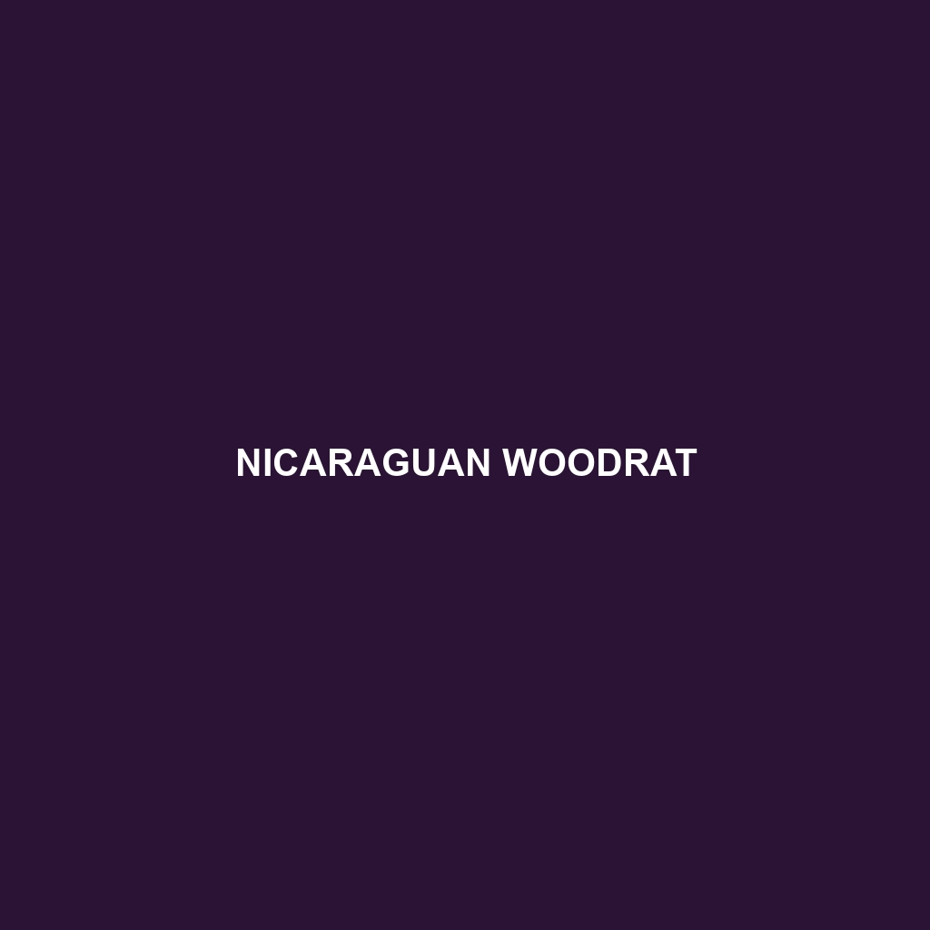 Nicaraguan Woodrat