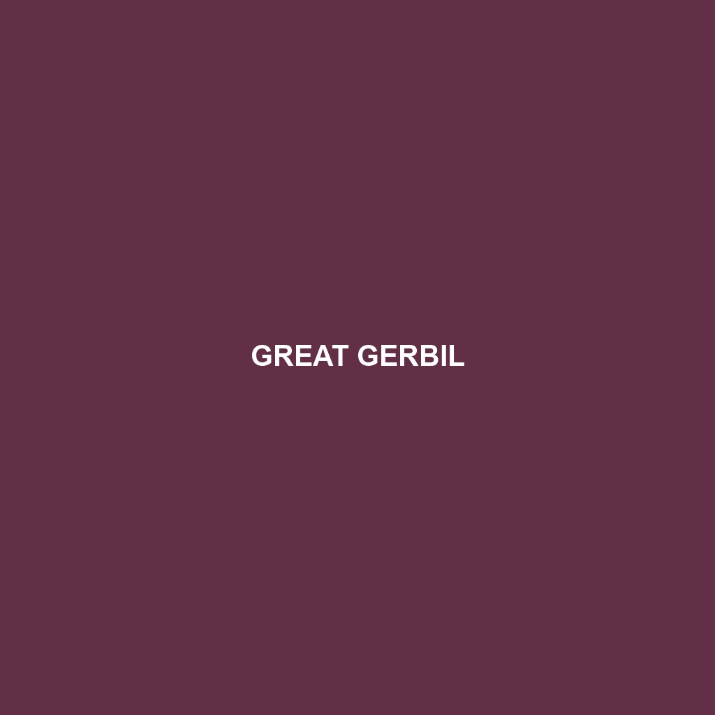 Great Gerbil