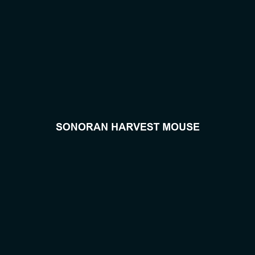 Sonoran Harvest Mouse