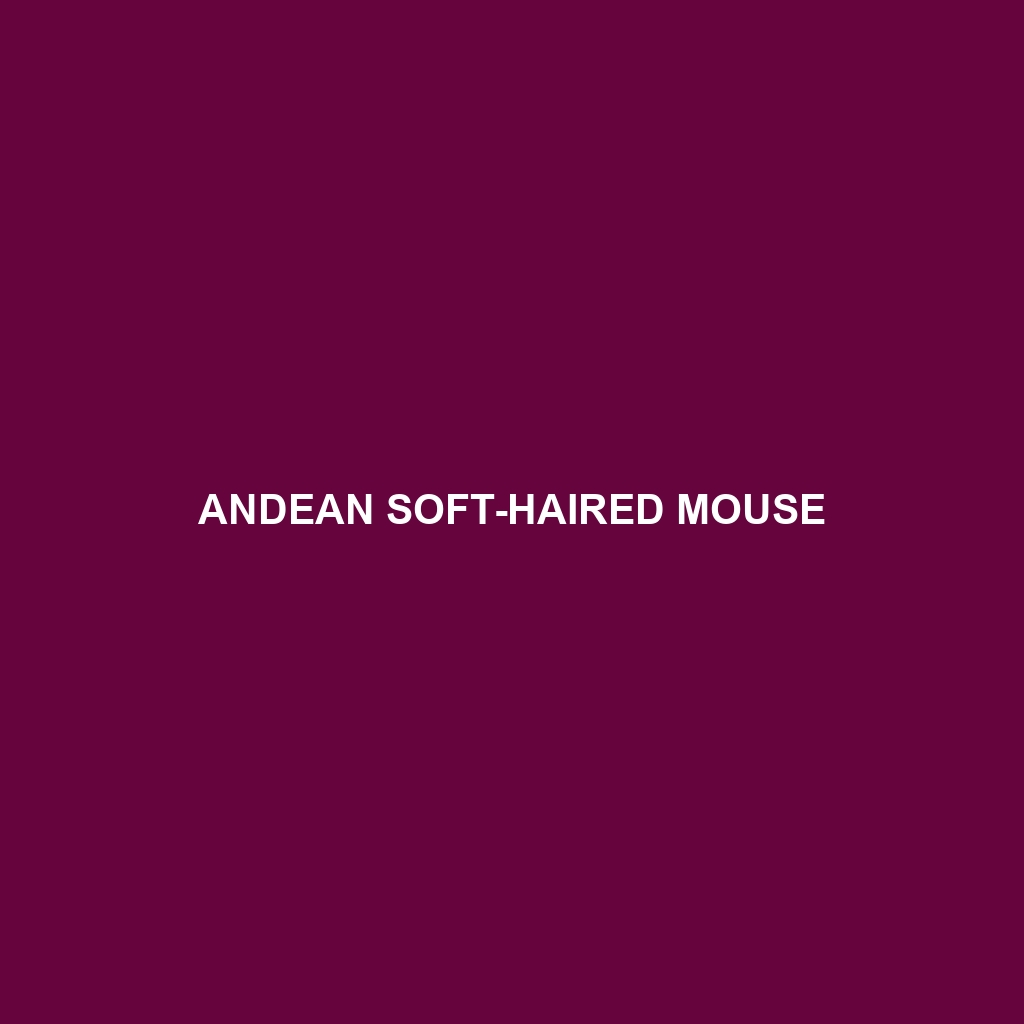 Andean Soft-haired Mouse