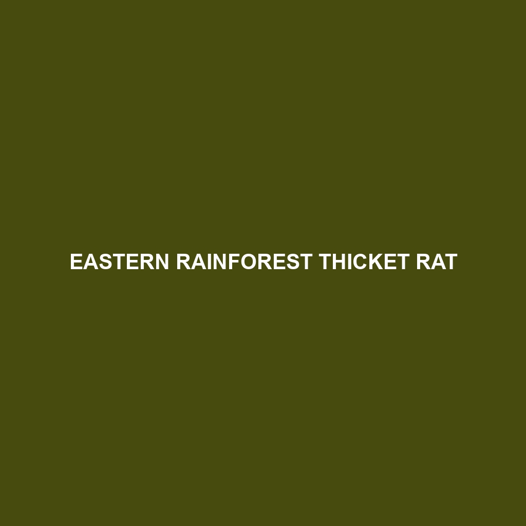 Eastern Rainforest Thicket Rat