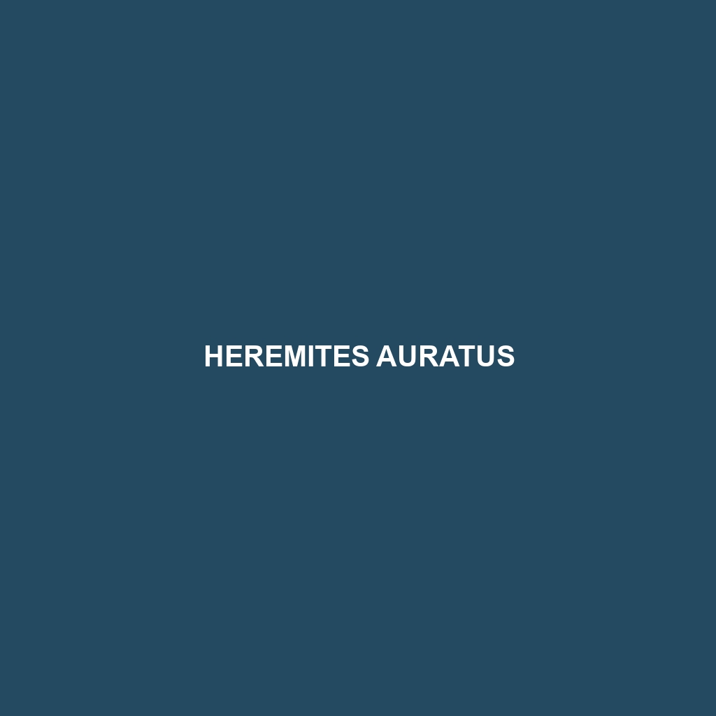 Heremites auratus