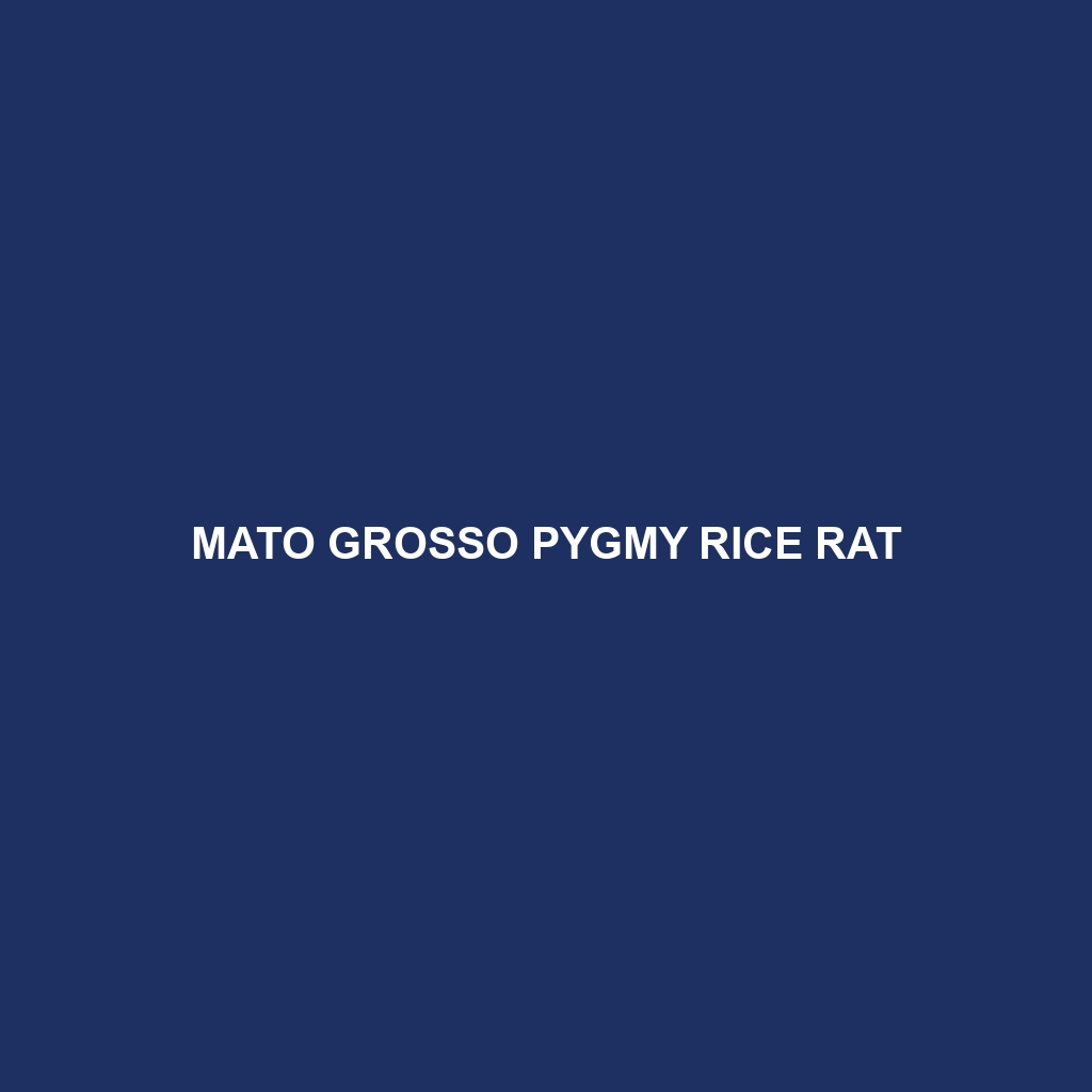 Mato Grosso Pygmy Rice Rat